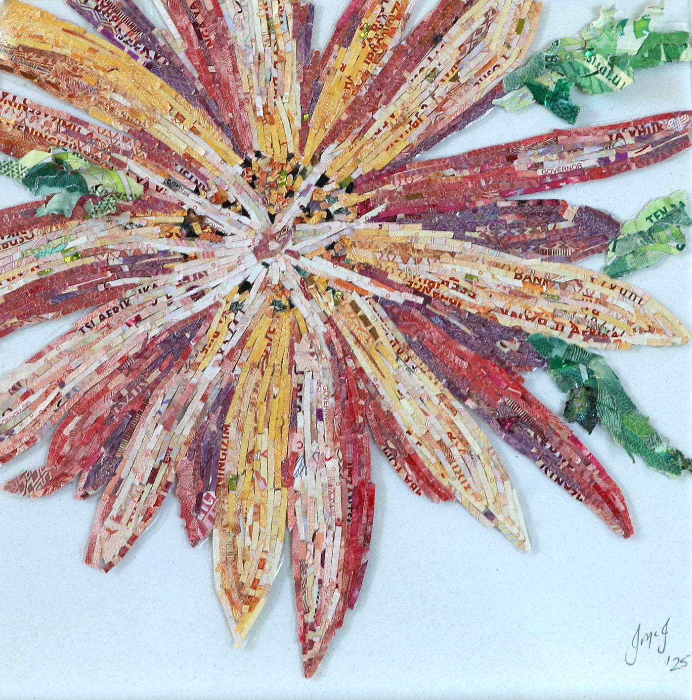 Sawtooth Cactus