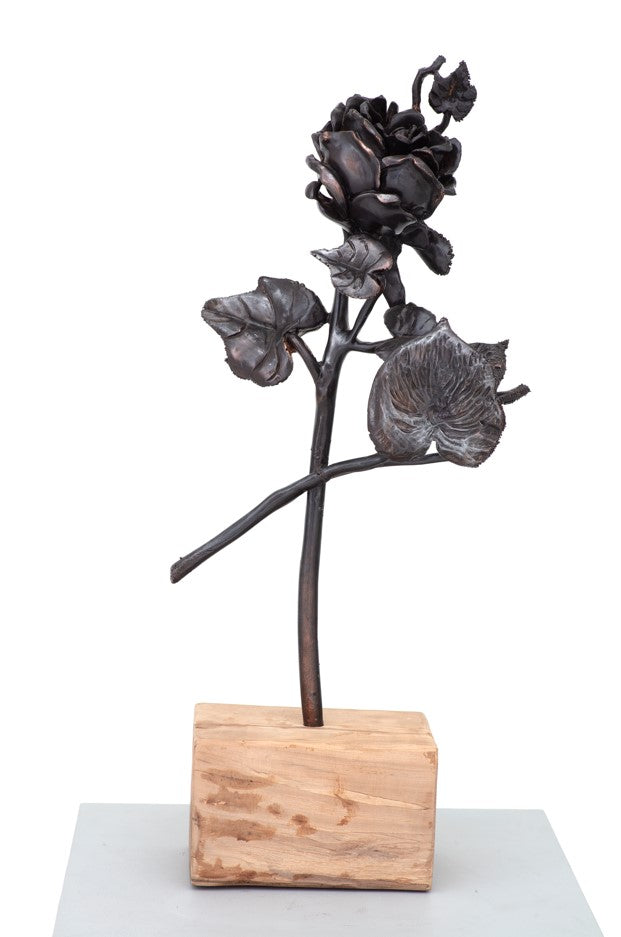 FUTURE PROOF: ROSE