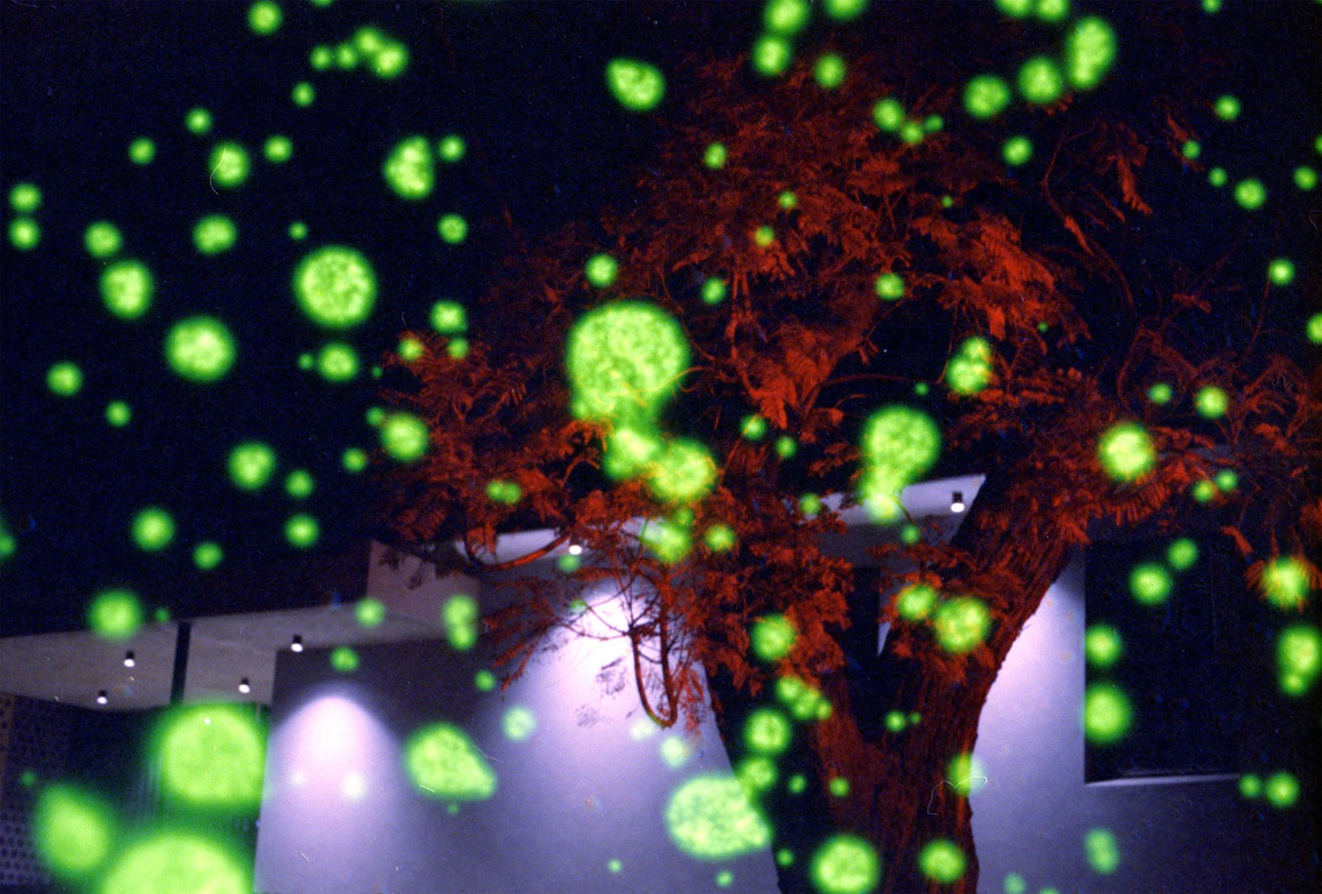 Hot Brain Series II