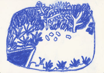 The Back Garden