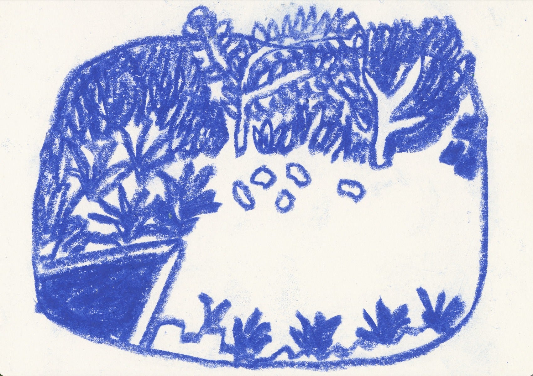 The Back Garden