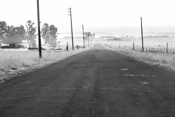In Search Of II