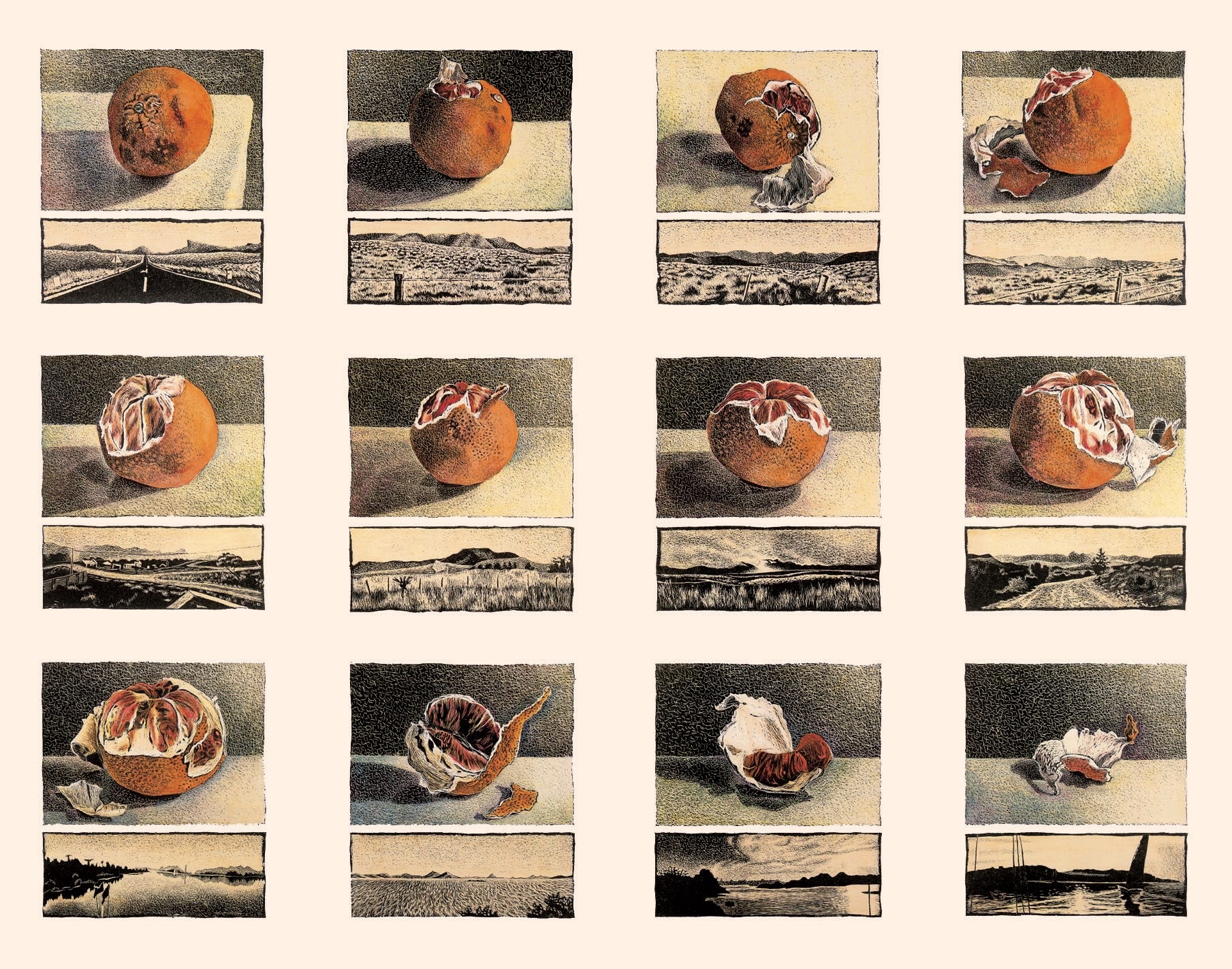 Twelve Phases of Orange