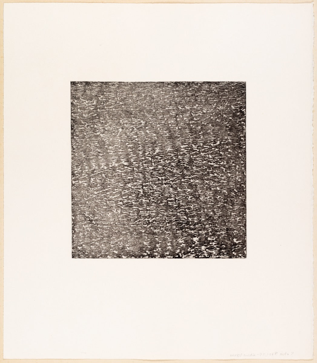 Untitled V