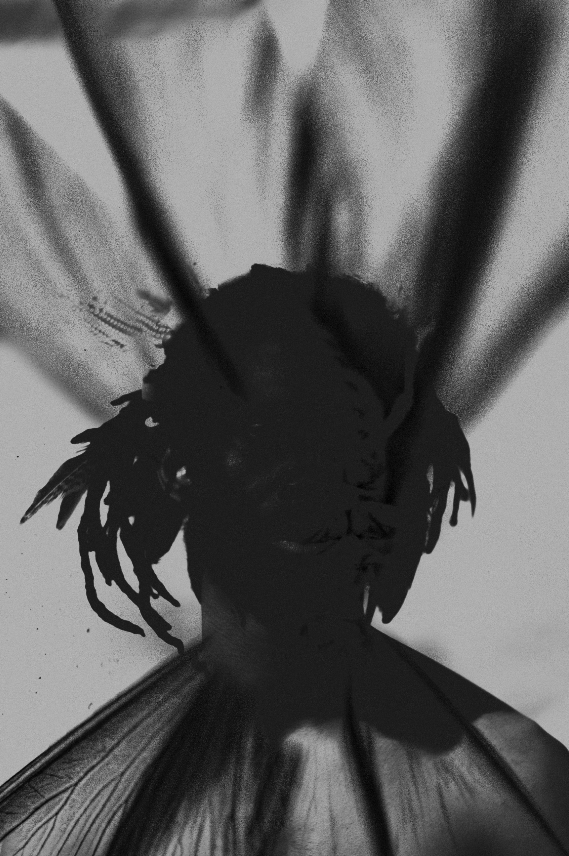 Portrait of a Healer II
