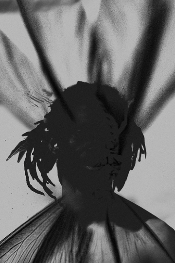 Portrait of a Healer II