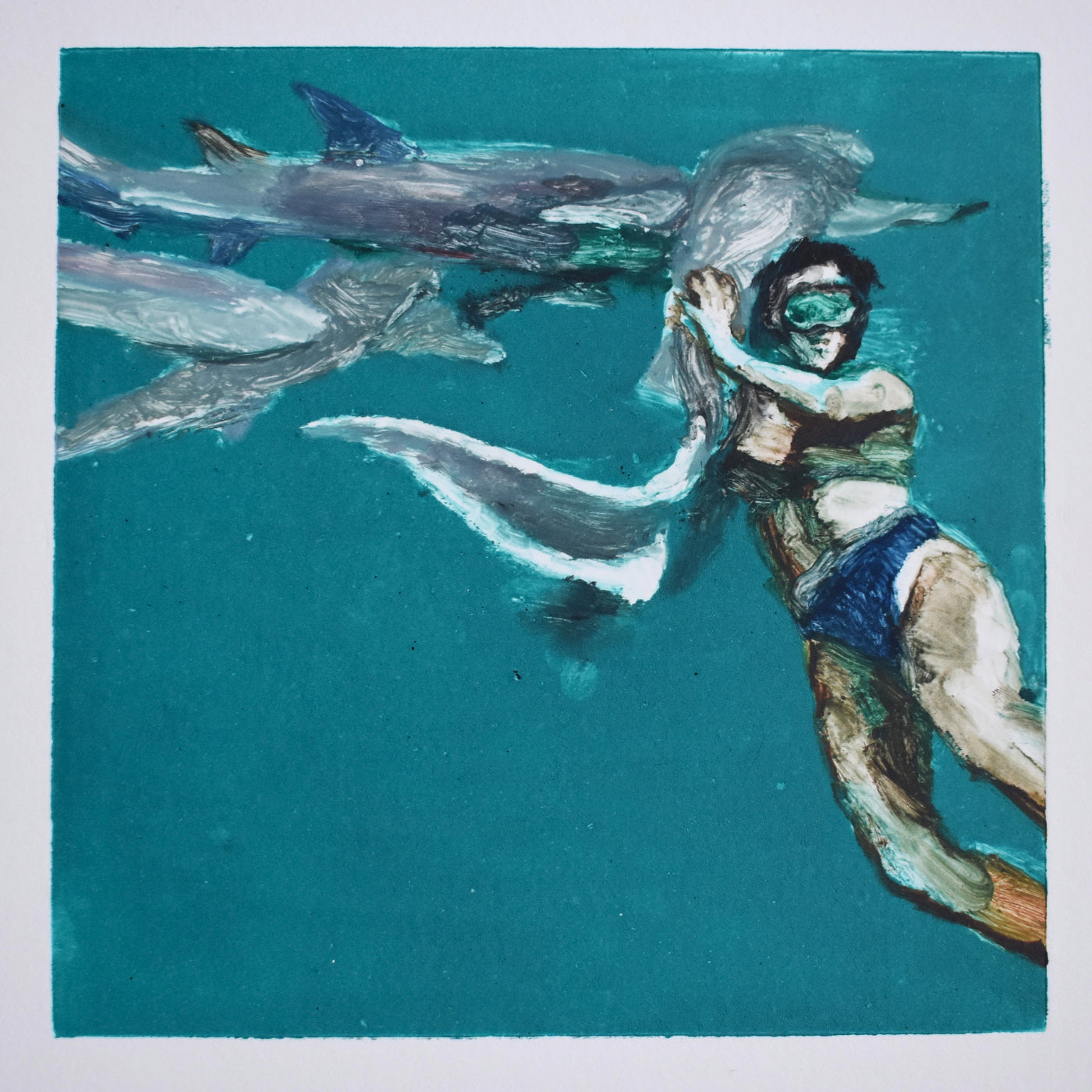 Vividian shark encounter