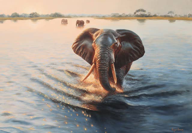 Chobe ElephantÃ‚Â 