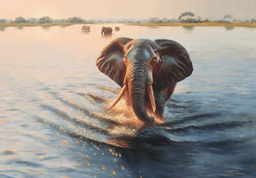 Chobe ElephantÃ‚Â 