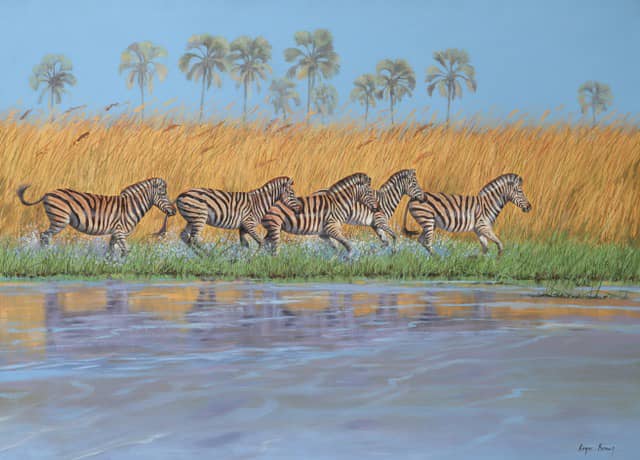 Okavango Zebra