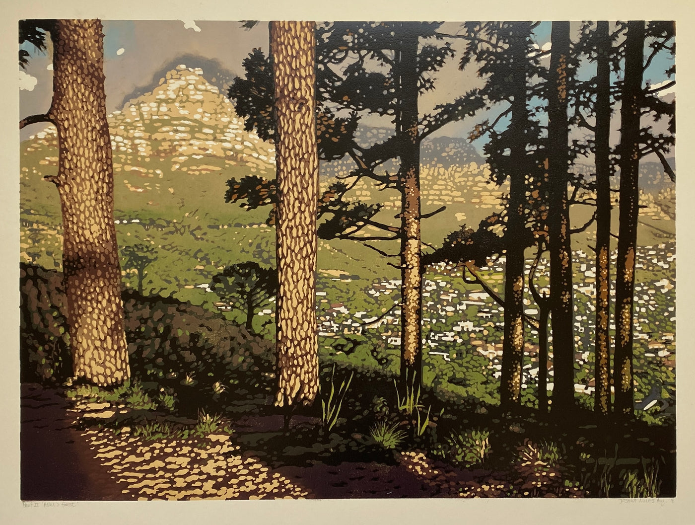 Allan's forest AP 2/2