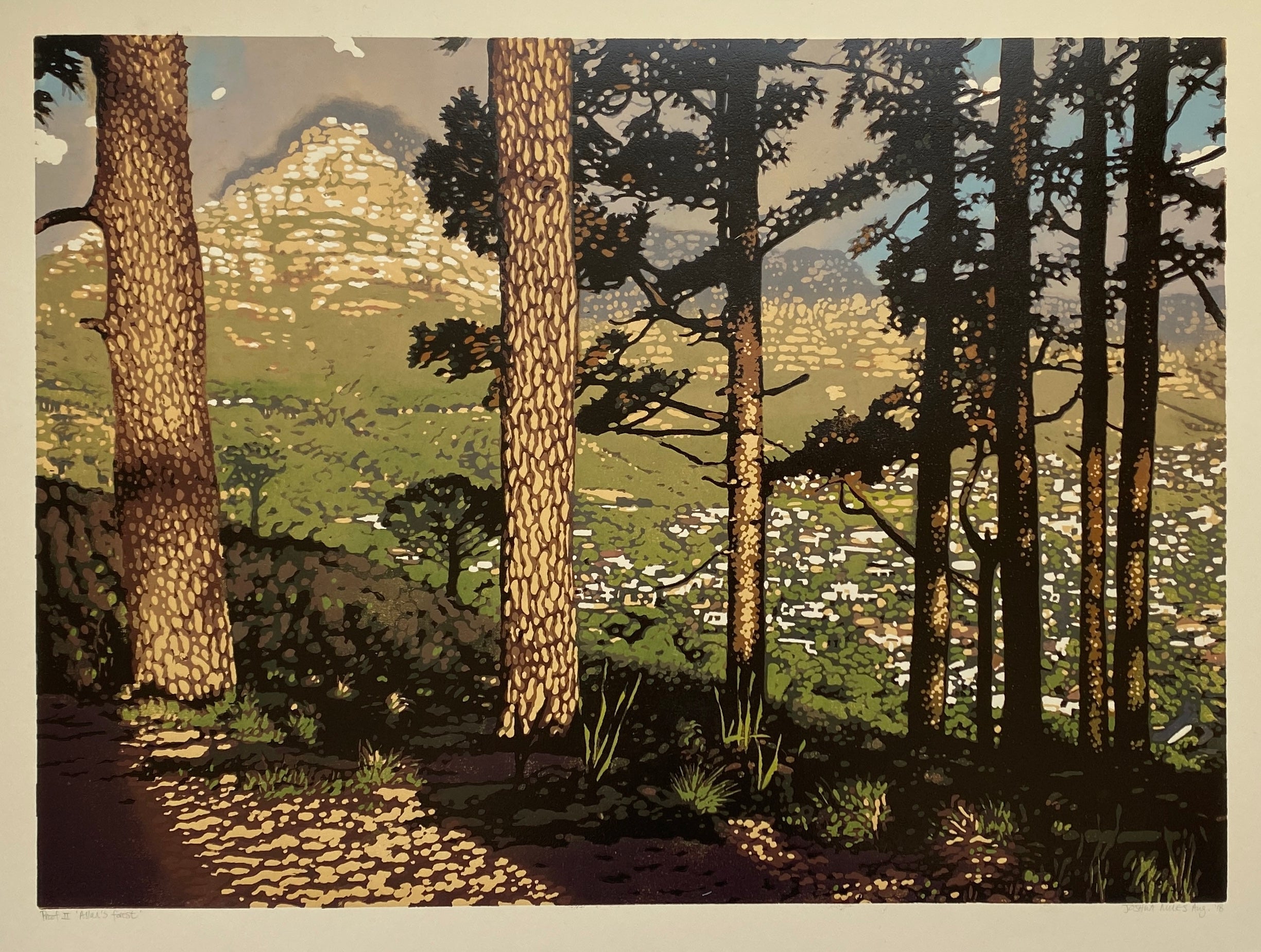 Allan's forest AP 2/2