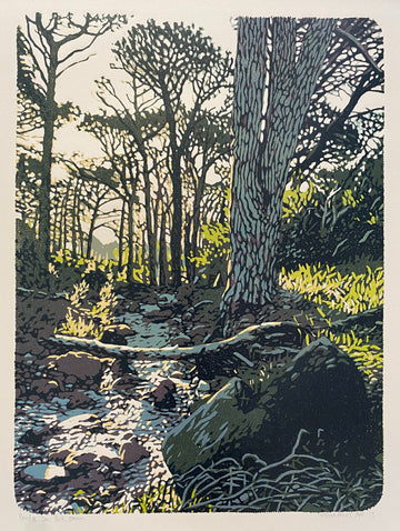 Deer Park stream AP 2/2