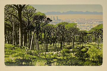 From Rhodes Memorial AP 2/2
