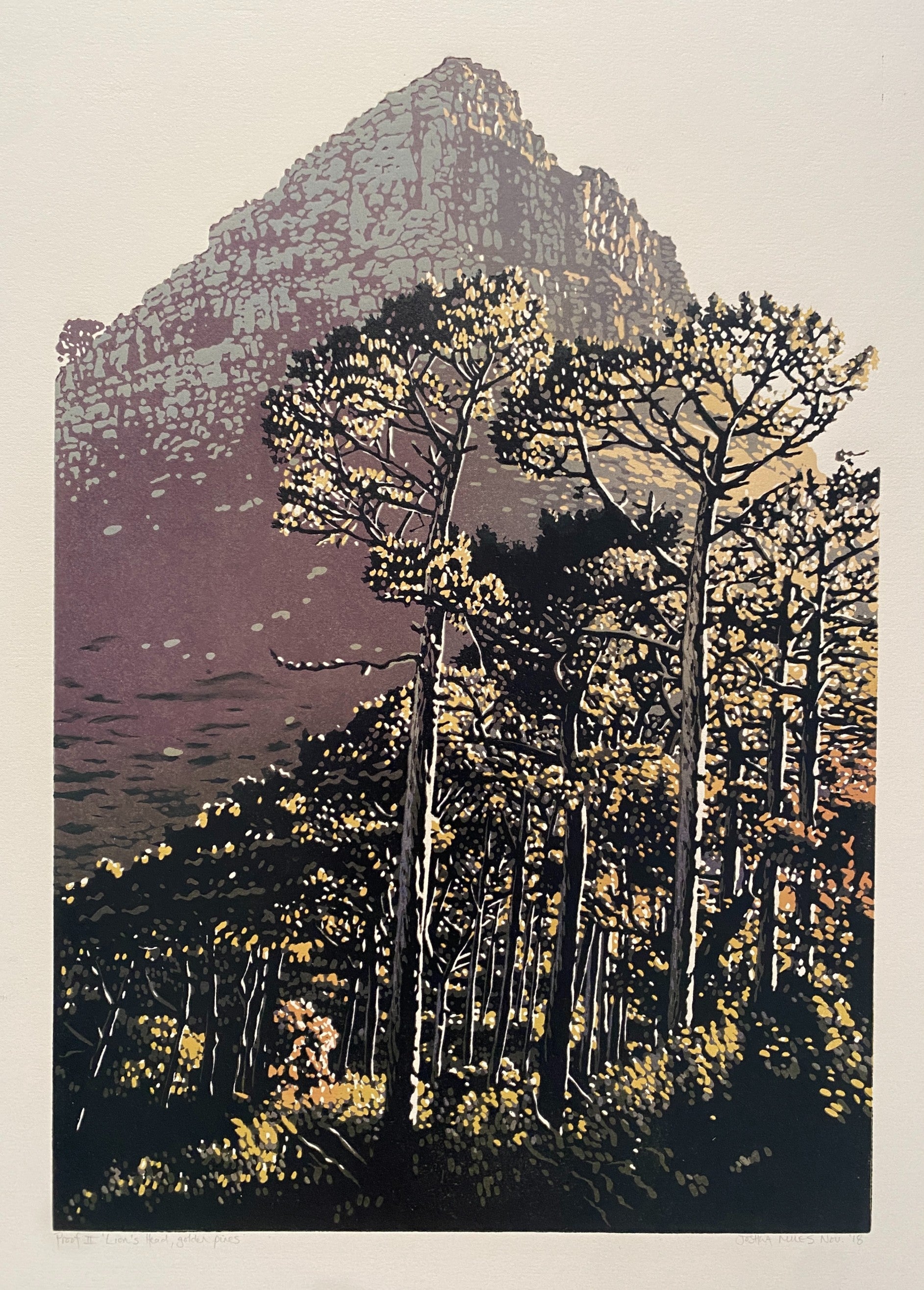Lion's Head, golden pines AP 2/2