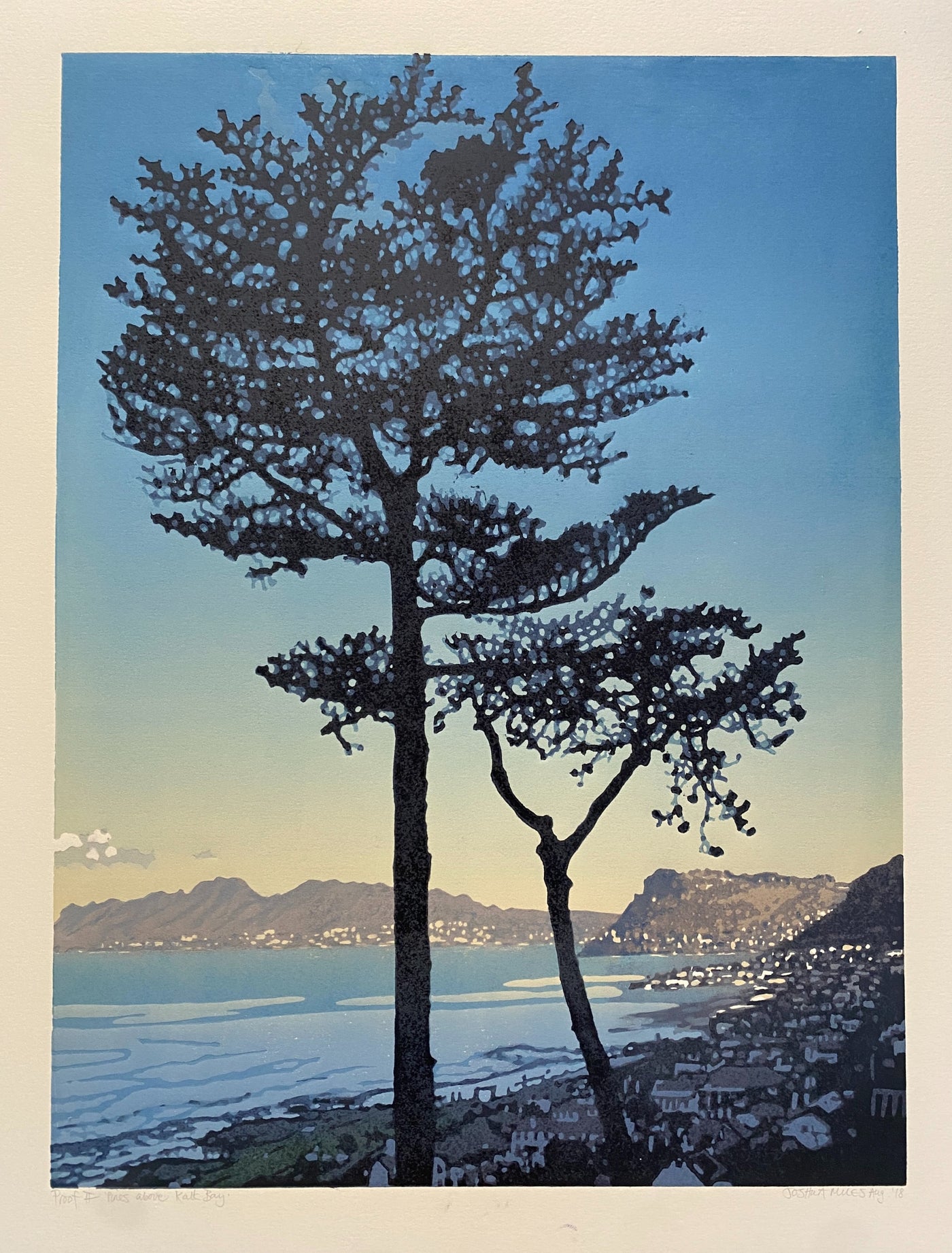 Pines above Kalk-Bay AP 2/2