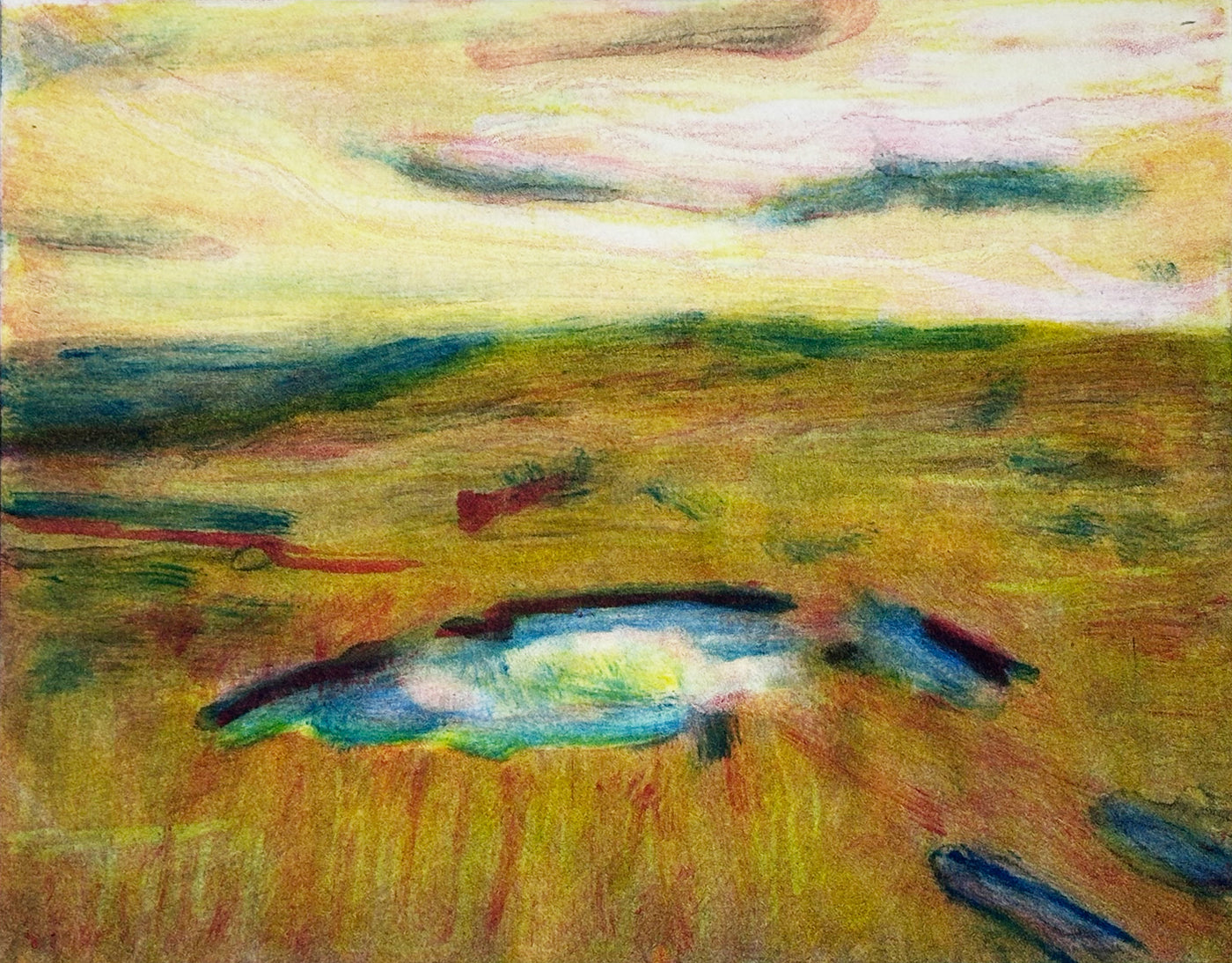 Nicholson's moorland pool