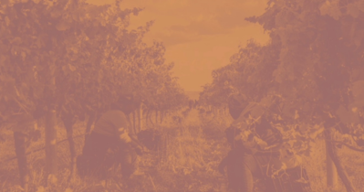 Art School Africa | Between Place & People