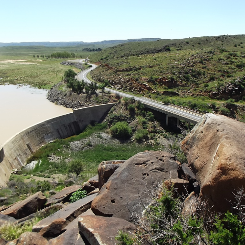 Artist Ricardo Akhona Pieterse