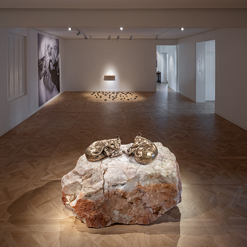 Artist Nicola Bailey