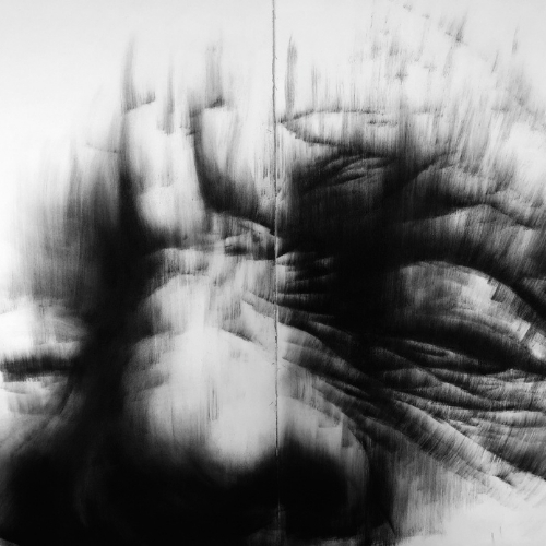 Artist Marieke Kruger