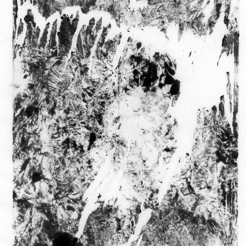 Artist Sonia Martins Mateus