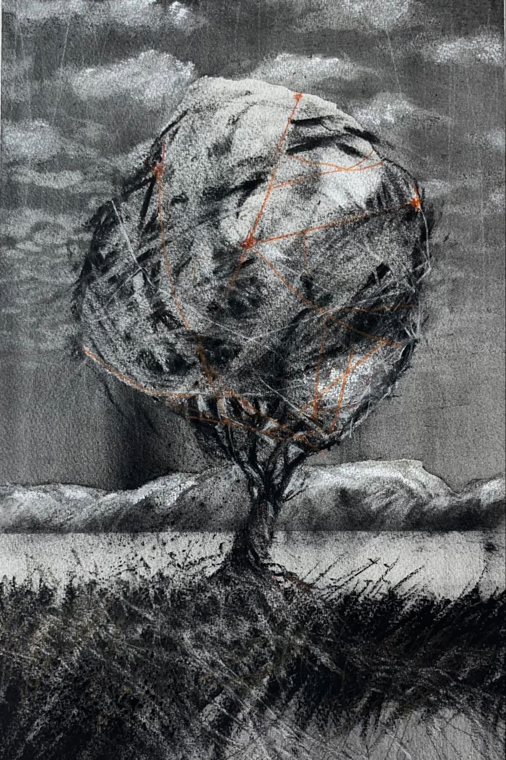 Artist Stefan Raubenheimer