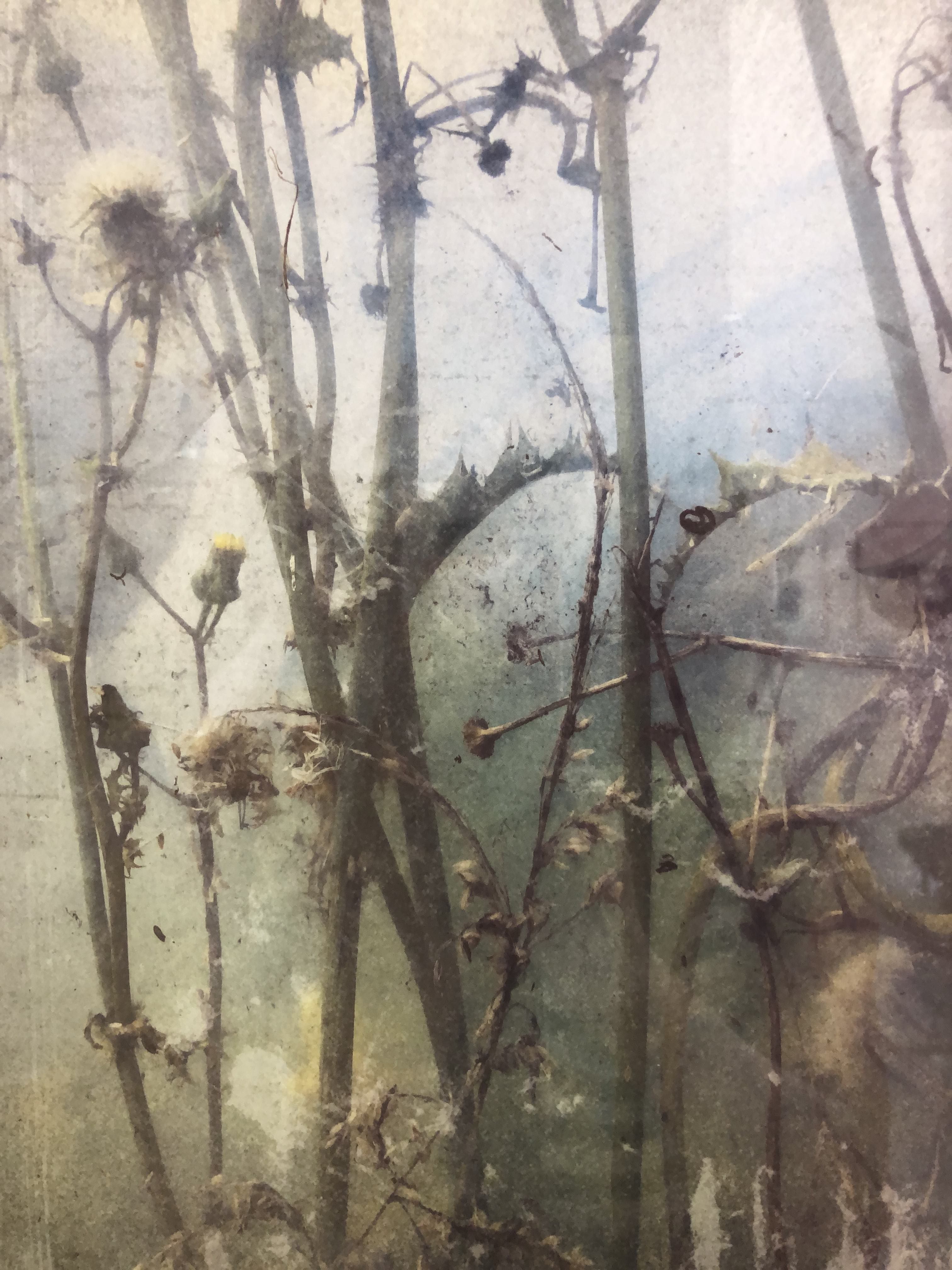 Artist Claire Linder