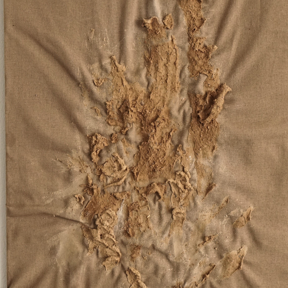 Camilla Pontiggia's artwork headshot