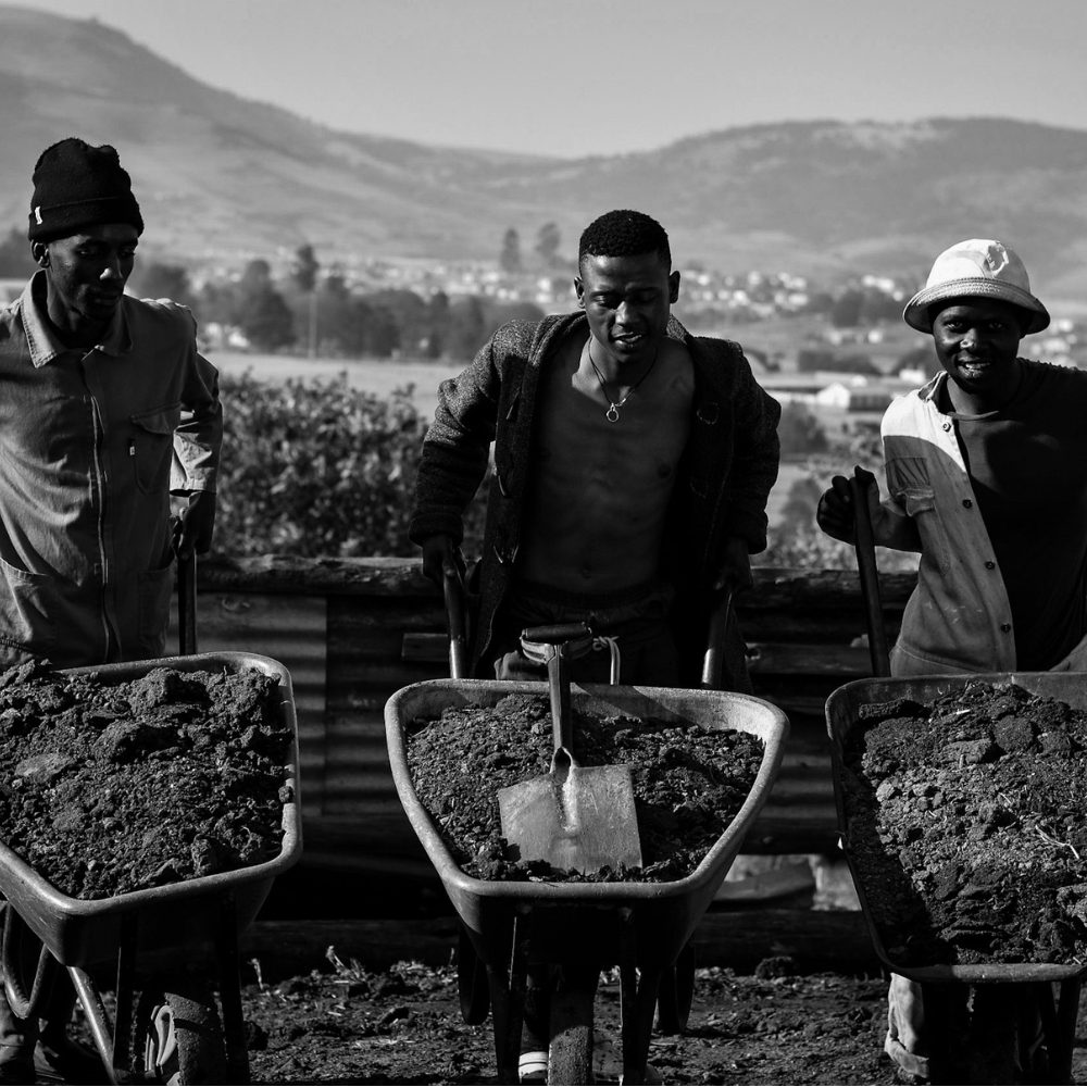 Milani Mtshotshisa's artwork thumbnail