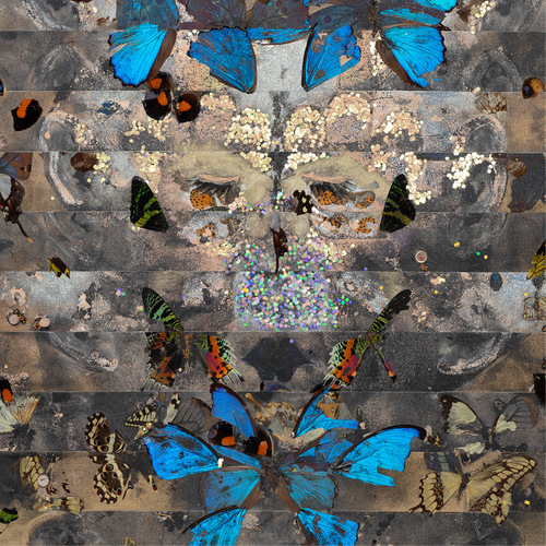 Steven Cohen's artwork thumbnail