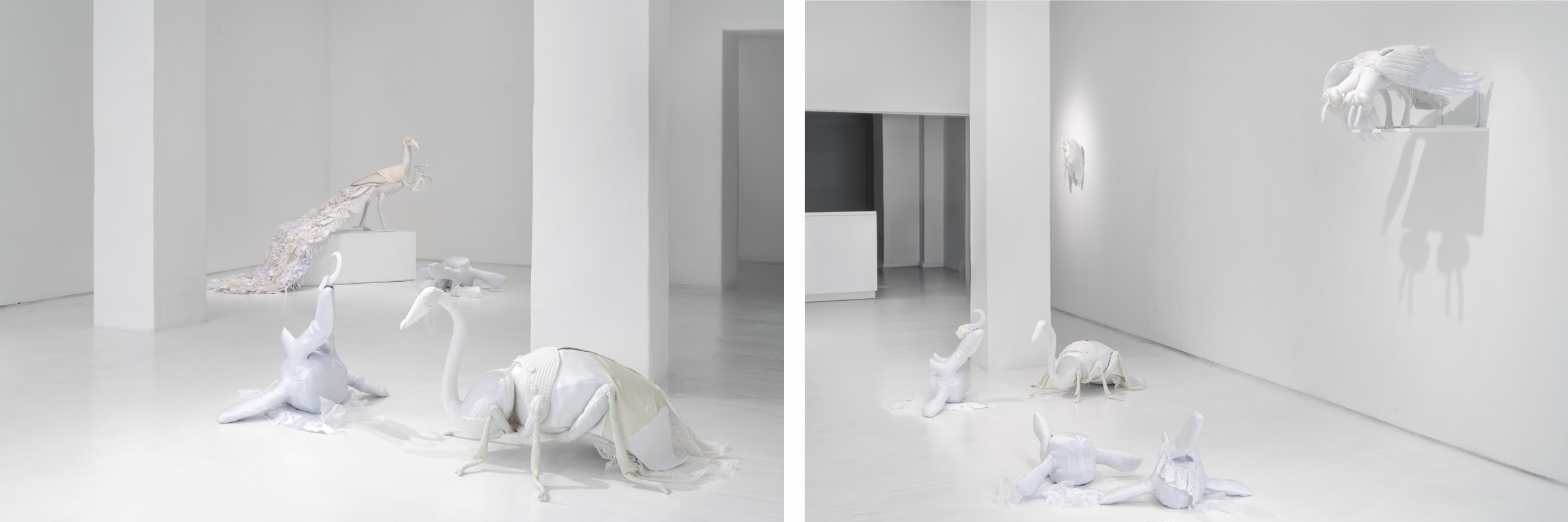 Vela Projects | Whale Fall 