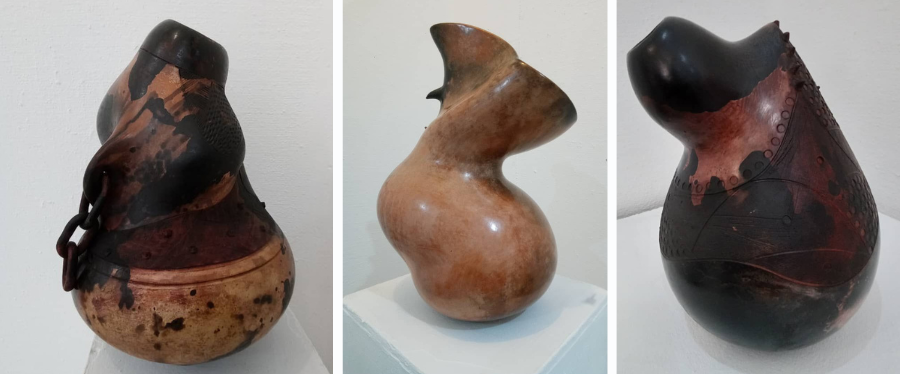 The Space Botswana | Ngwaga Ya Rona