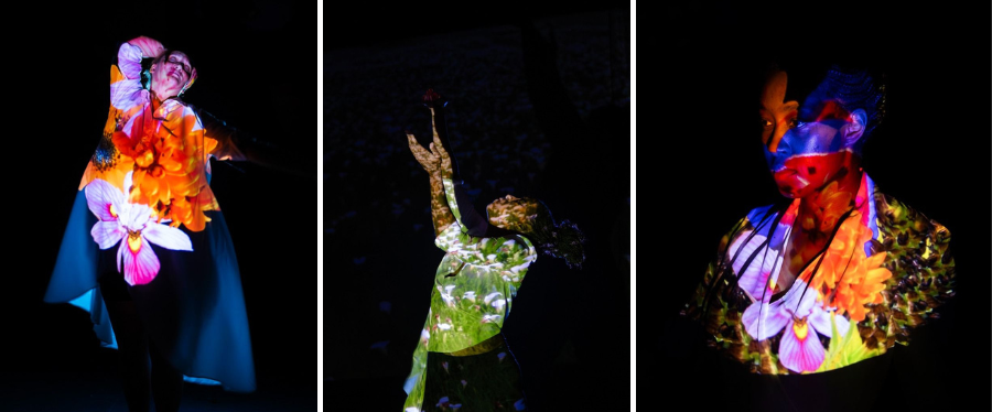 Everard Read Gallery Cape Town | Cubicle