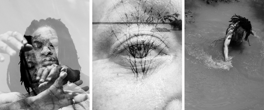 ReCurate | I've Found My Roots ReCurate | I've Found My Roots