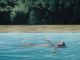 Andrew Kayser-Ophelia II