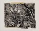 William Kentridge-My Father is a Tree in a Forest of Fathers I
