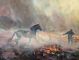 Juria le Roux-Incident II