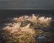 Juria le Roux-Beyond the point of no return  II