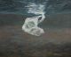 Juria le Roux-Sea change III