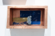 Kathy Robins-View Master III