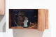 Kathy Robins-View Master VII