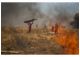 Alet Pretorius-In vlamme/In flames
