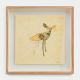 Balekane Legoabe-Mother Wasp