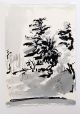 Roxy Kaczmarek-Plant studies - Roadside pines