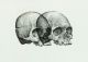 Gerhard Marx-Binocular Skull 1