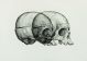 Gerhard Marx-Binocular Skull 2