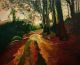 Luke Williams-Footpath