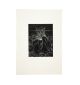 Mosa Anita Kaiser-A Study of Lovers