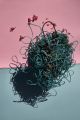 Thirza Schaap-beehive
